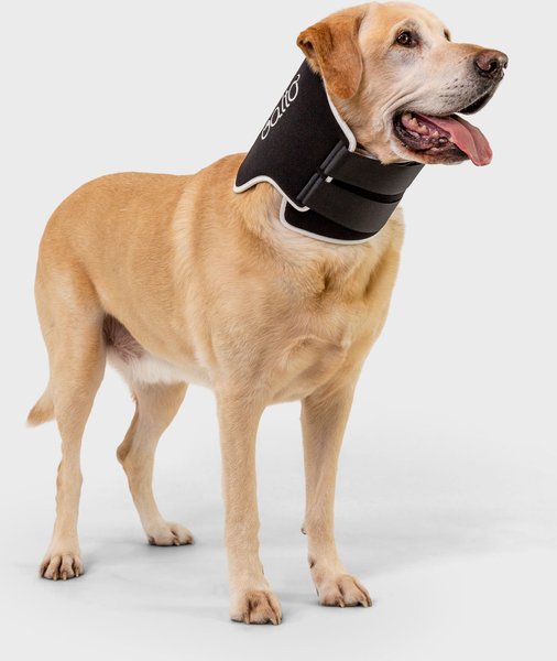 Balto Neck Eco Dog E-Collar Alternative