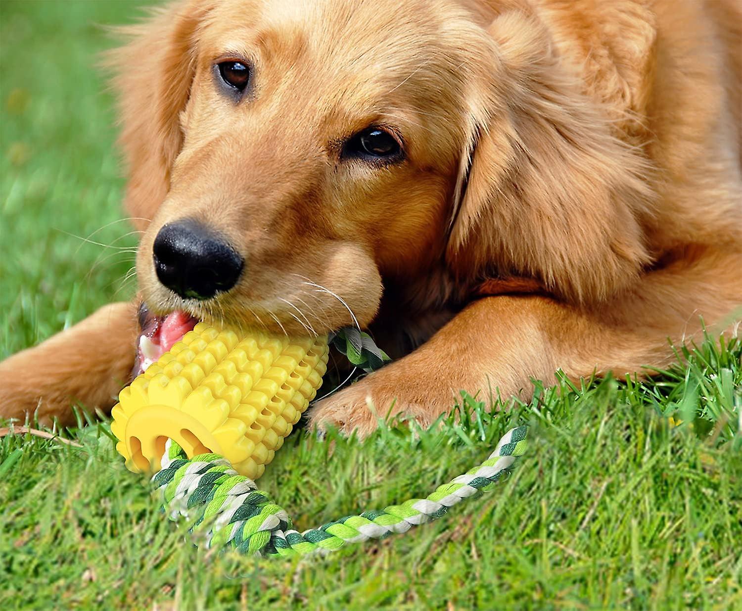 Dog Chew Toys For Aggressive Chewers， Indestructible Tough Durable Squeaky Interactive Dog Toys， Puppy Teeth Chew Corn Stick Toy For Small Meduium Lar