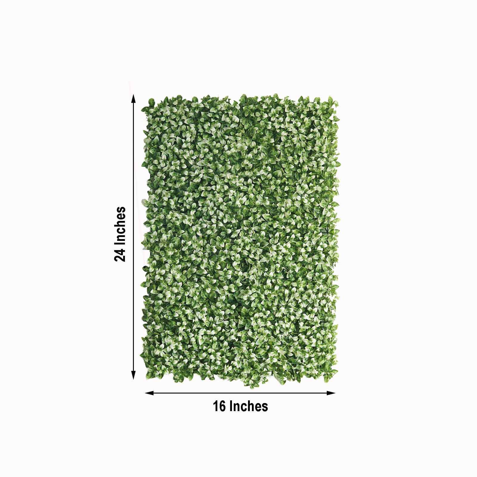 White Tip Green Boxwood Hedge Garden Wall Backdrop Mat 4 Artificial Panels 11 Sq ft.