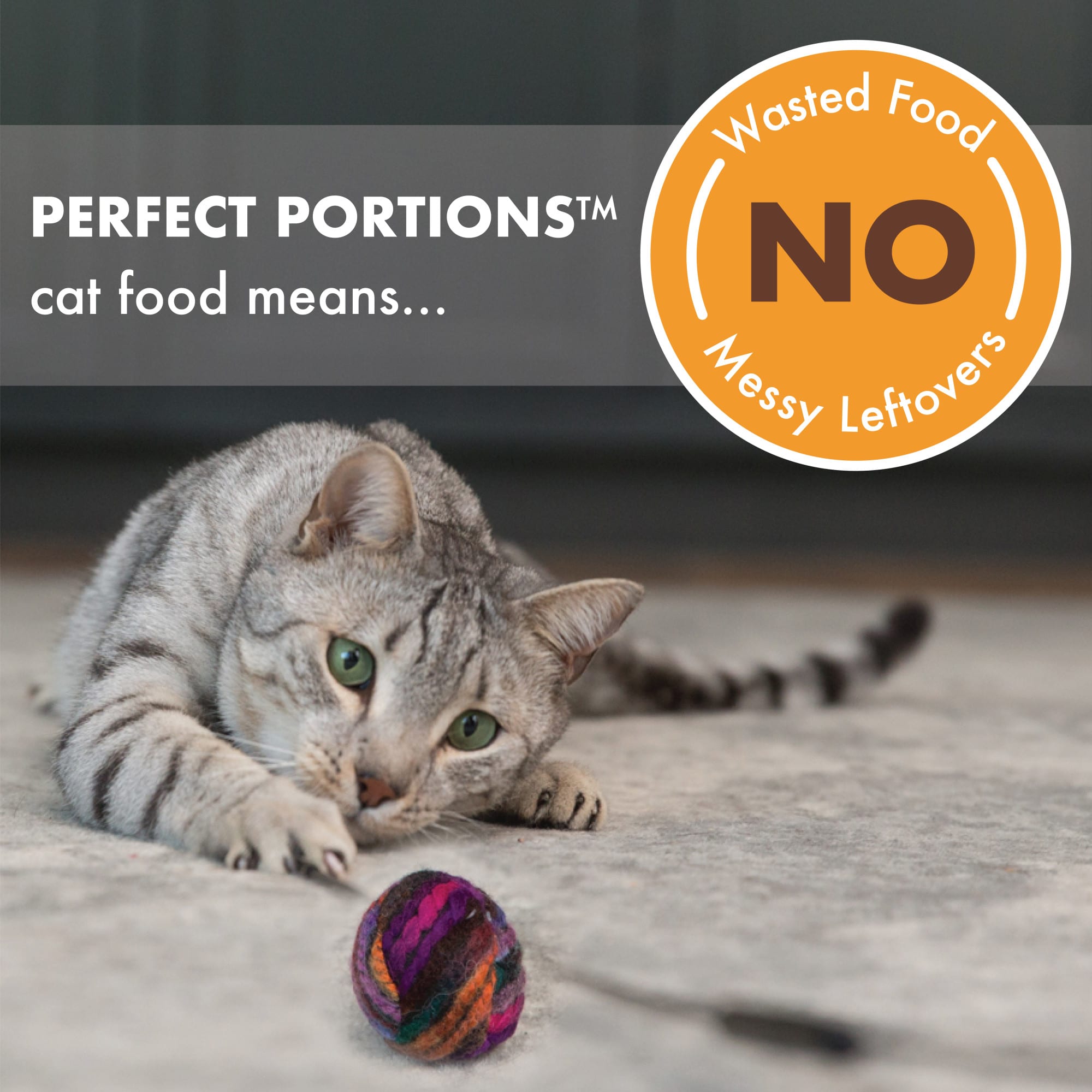 Nutro Perfect Portions Grain Free Natural Pate Real Turkey  Liver Recipe Adult Wet Cat Food， 2.6 oz.， Case of 24