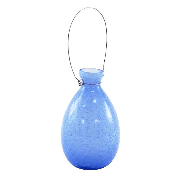 Hanging Glass Teardrop Rooting Vase Achla Designs