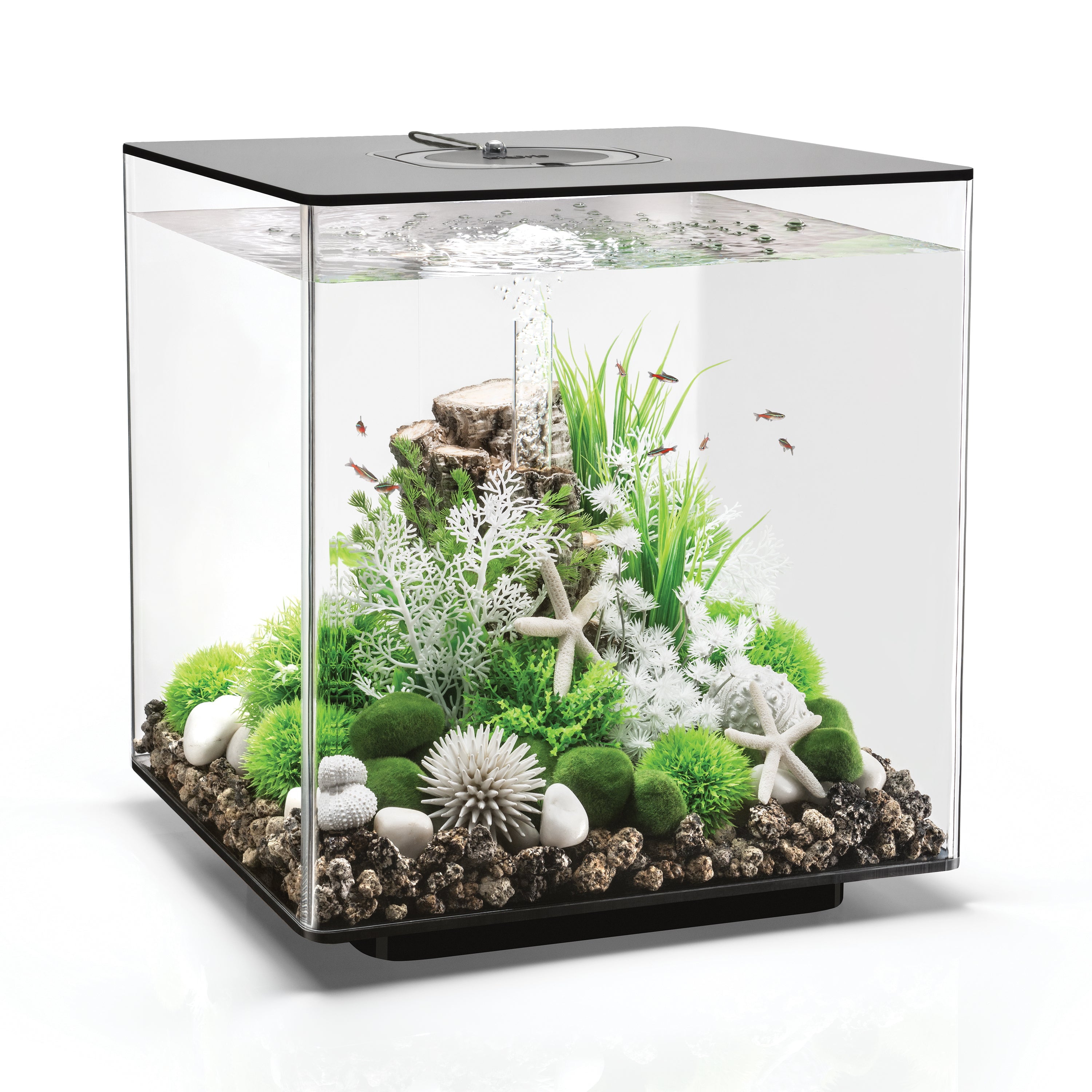 biOrb Cube 60 Aquarium with MCR Light， 16 Gallon， Black