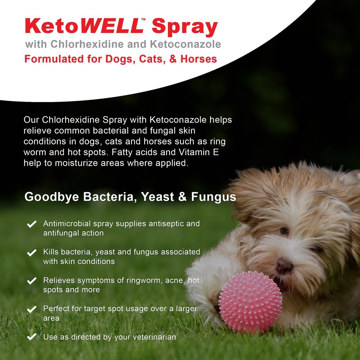 VetWELL KetoWell Antiseptic Dog， Cat and Horse Spray