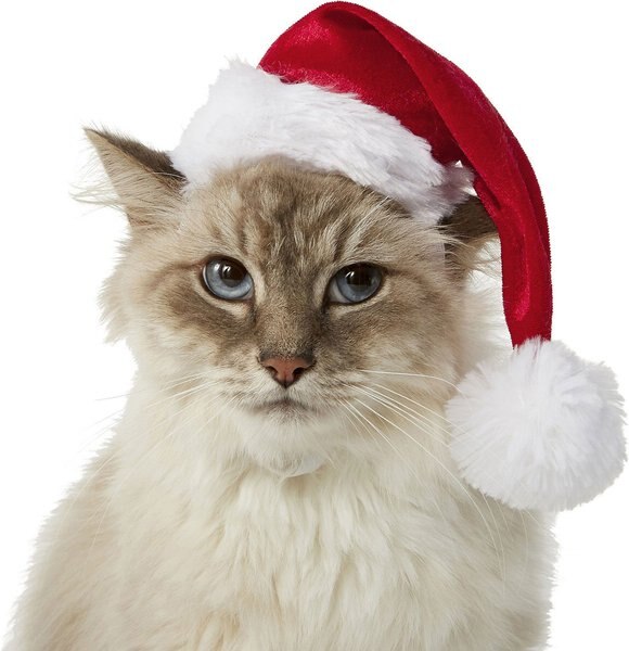 Frisco Deluxe Holiday Dog and Cat Santa Hat， 1 count