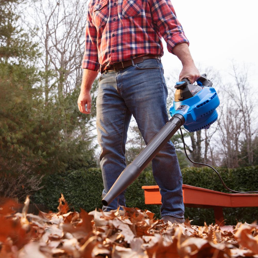 10 Gallon Wet/Dry Vac with Detachable Blower ;