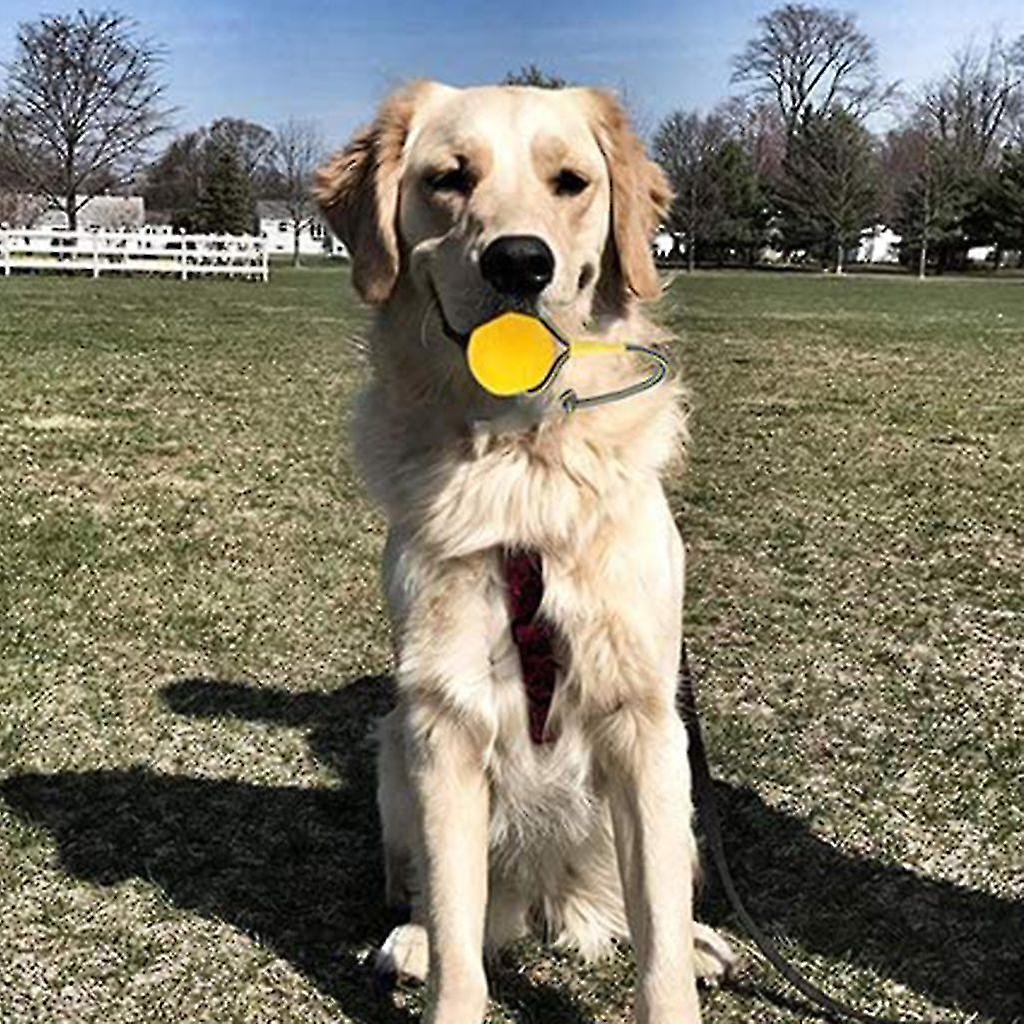 Premium Dog Ball With Rope  9cm Dog Throwing Ball Rope - Water Dog Toy Ball With Rope