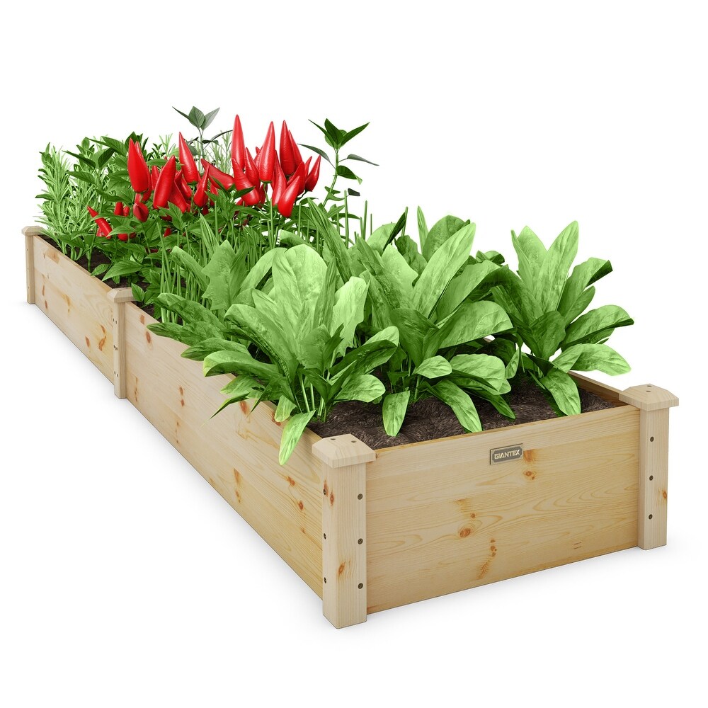 Costway Wooden Raised Garden Bed Outdoor Wood Planter Box for   95'' x 24'' x 10'' (L x W x H)