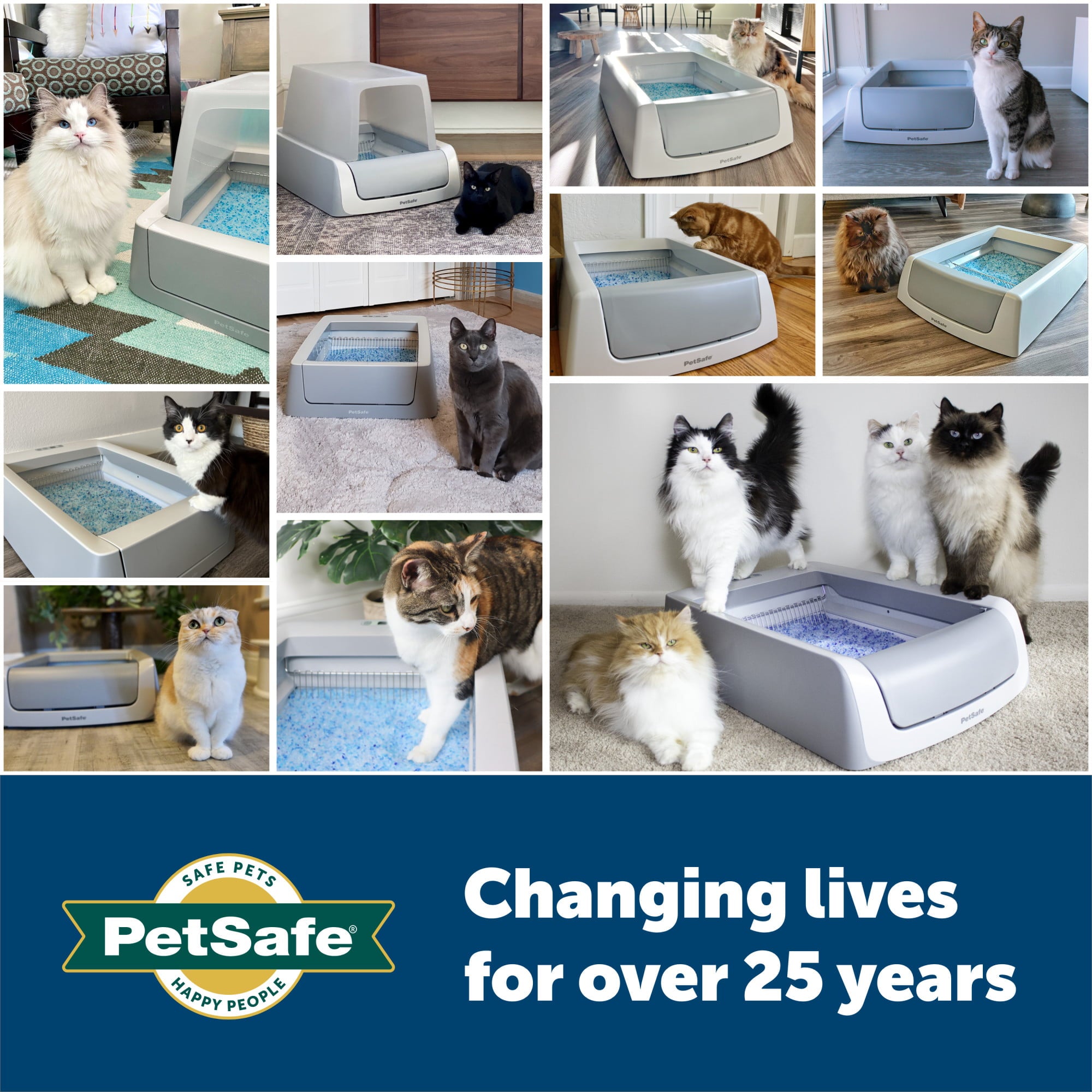 PetSafe ScoopFree Complete Smart Self Cleaning Cat Litter Box， Phone App Connected， Front-Entry Covered