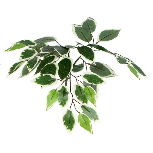 Artificial Variegated Ficus Tree (6