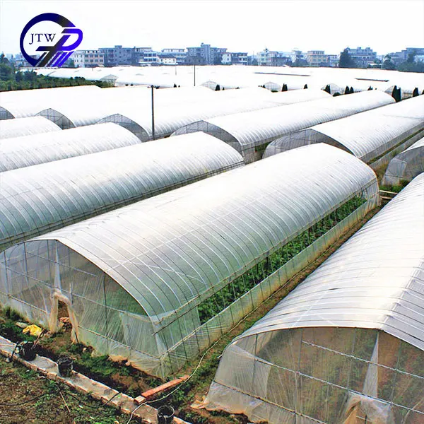 Winter Greenhouse System Supply Single Span Greenhouses For Agriculture