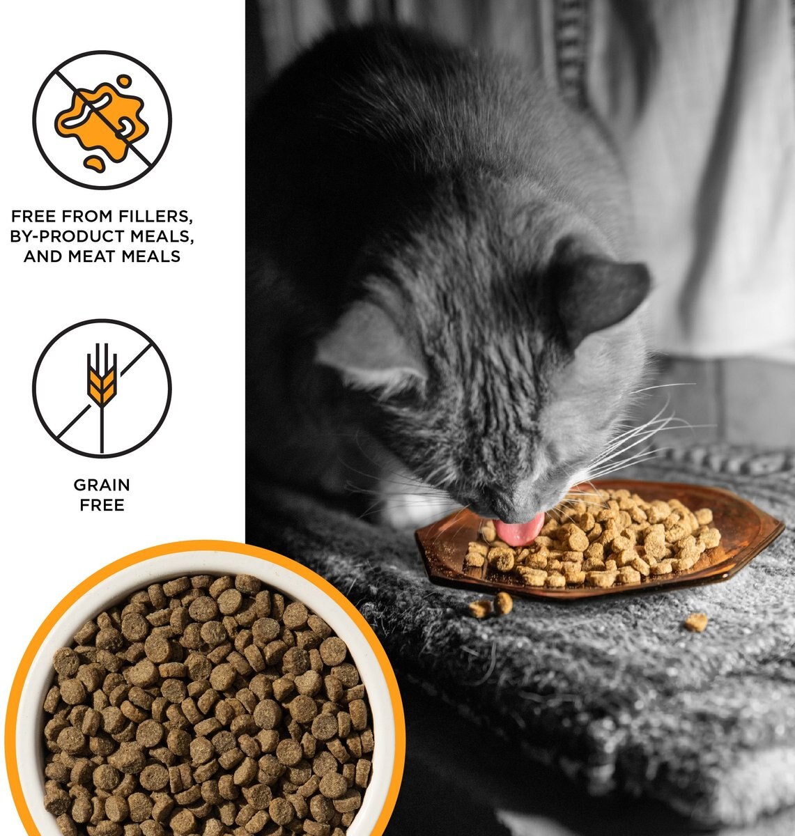 BIXBI Liberty Kitten Health Chicken Recipe Grain-Free Dry Cat Food