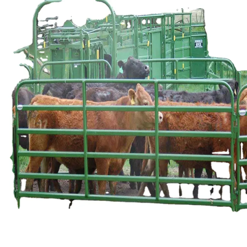 Supply High Quality Galvanized Wholesale Bulk  16 12 Foot Cattle Panels Cattle Corral Panels Livestock