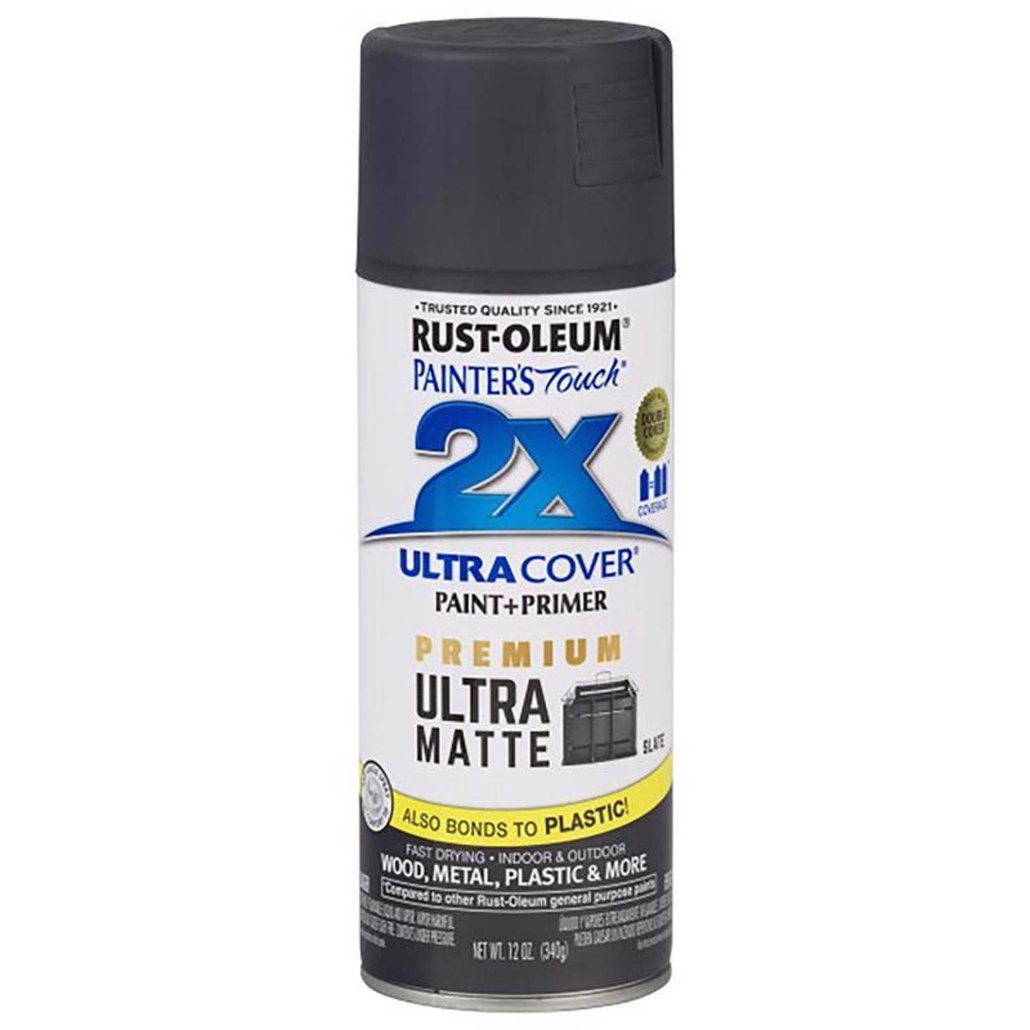 Rust-Oleum Painter\u0027s Touch 2X Ultra Cover Ultra Matte Slate Paint+Primer Spray Paint 12 oz