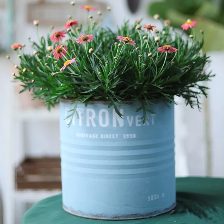 Yard Metal Bucket Planter Galvanized flowerpot Farmhouse Flower Plant Canister For Home Garden Decoration