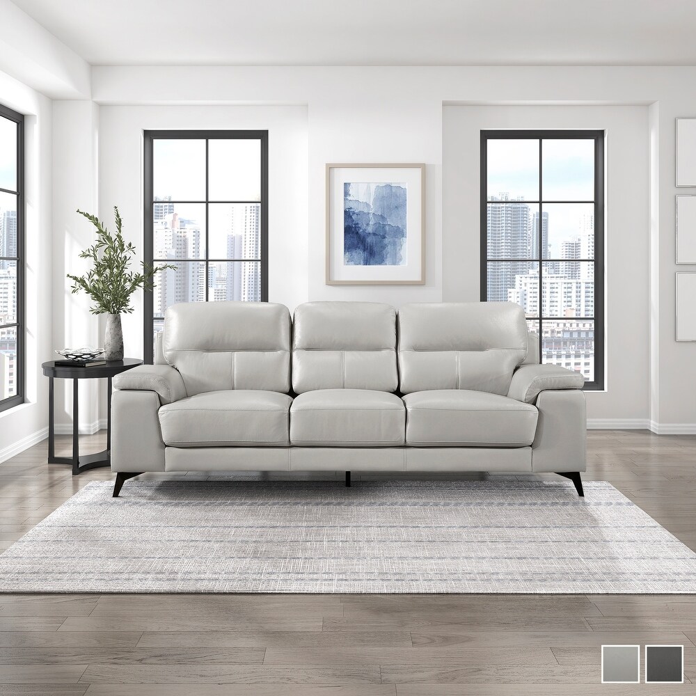 Socorro Contemporary Leather Sofa