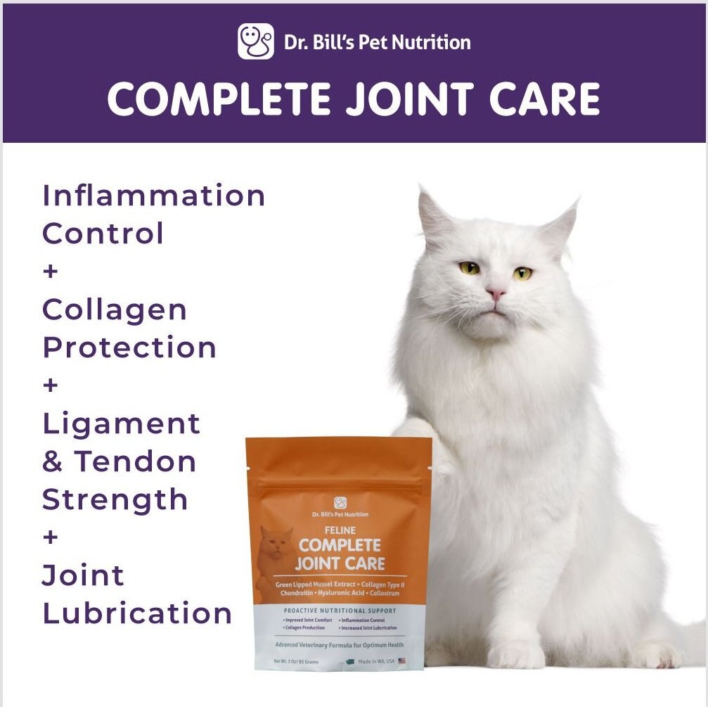 Dr. Bill's Pet Nutrition Feline Complete Joint Care Cat Supplement Powder， 85-gm pouch