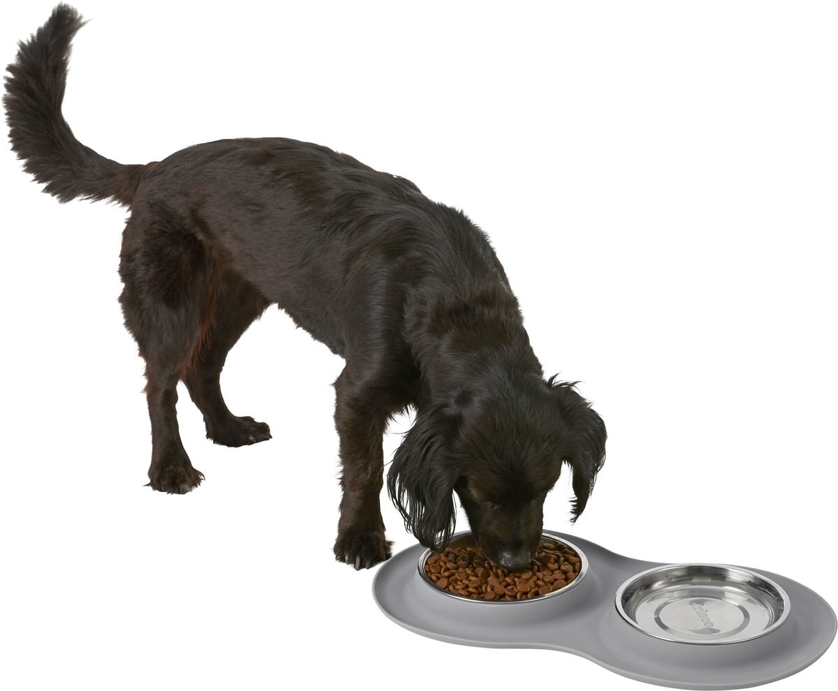 Frisco Double Stainless Steel Pet Bowl with Silicone Mat