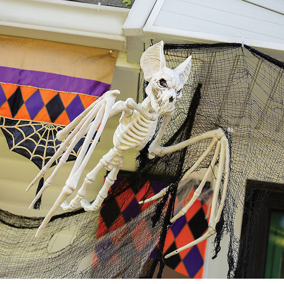 Morris Costumes SEW80063 Bat Skeleton Halloween De...