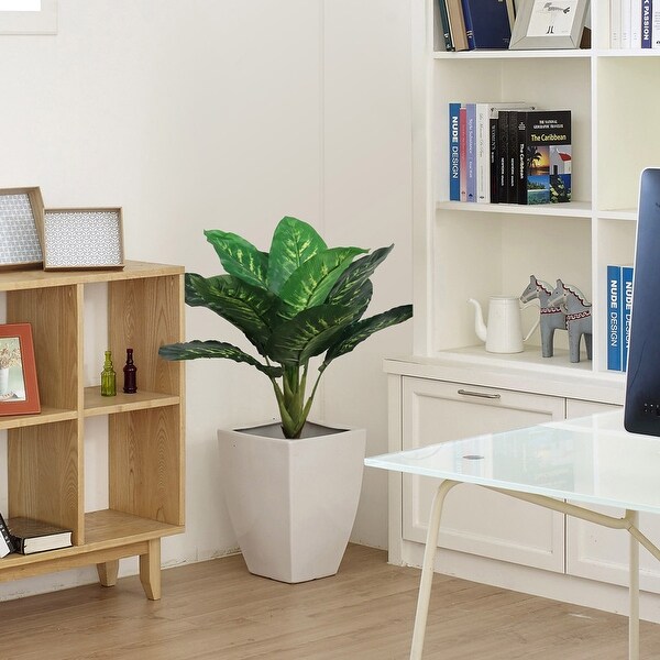 Dieffenbachia Plant in Black Pot: 32Inch，Floor Plant by Floral Home