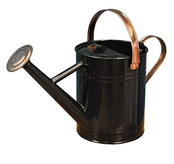 Most Popular Hot Selling Metal Water Can Home And Garden Decorative Water Cane Classic Design Affordable Price