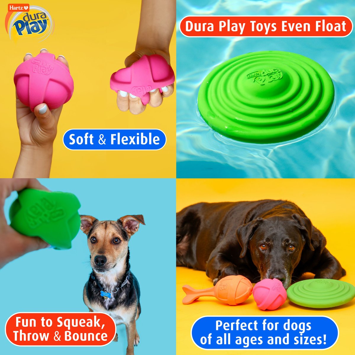 Hartz Dura Play Ball Squeaky Latex Dog Toy， Color Varies