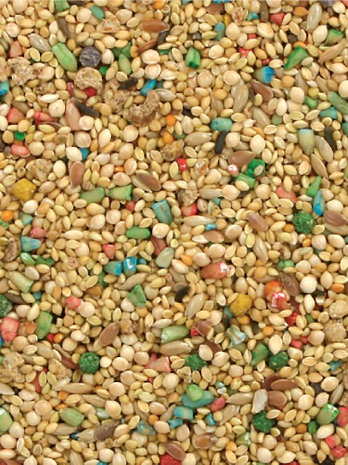 Colorful Companions Finch Blend Finch Food， 25-lb bag