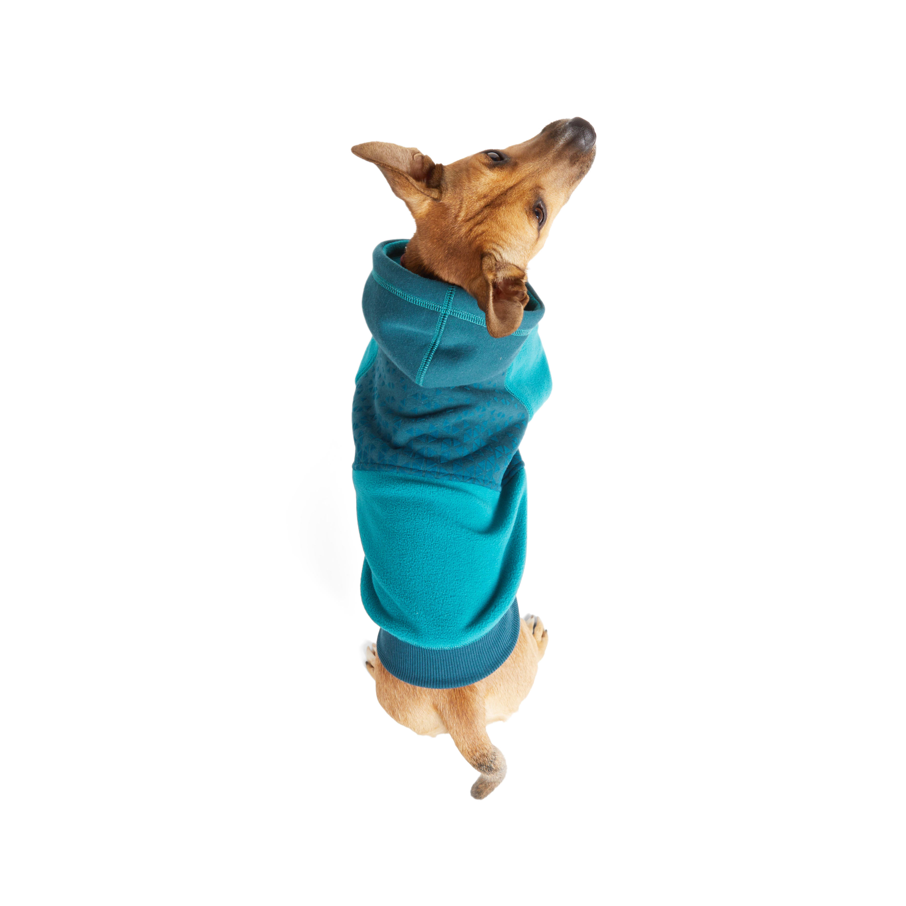 Reddy Teal Felt Print Dog Hoodie， X-Small