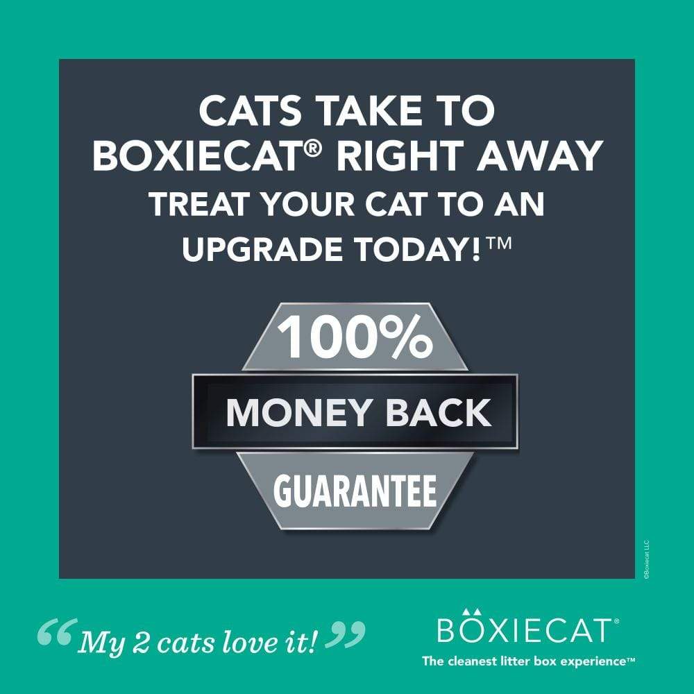 Boxiecat Gently Scented Premium Clumping Clay Litter