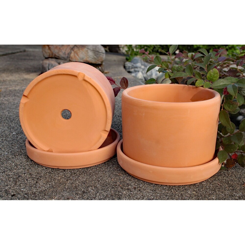 Set of 2 Terracotta Round Fat Walled Garden Planters with Individual Trays  2 SIZES AVILABLE