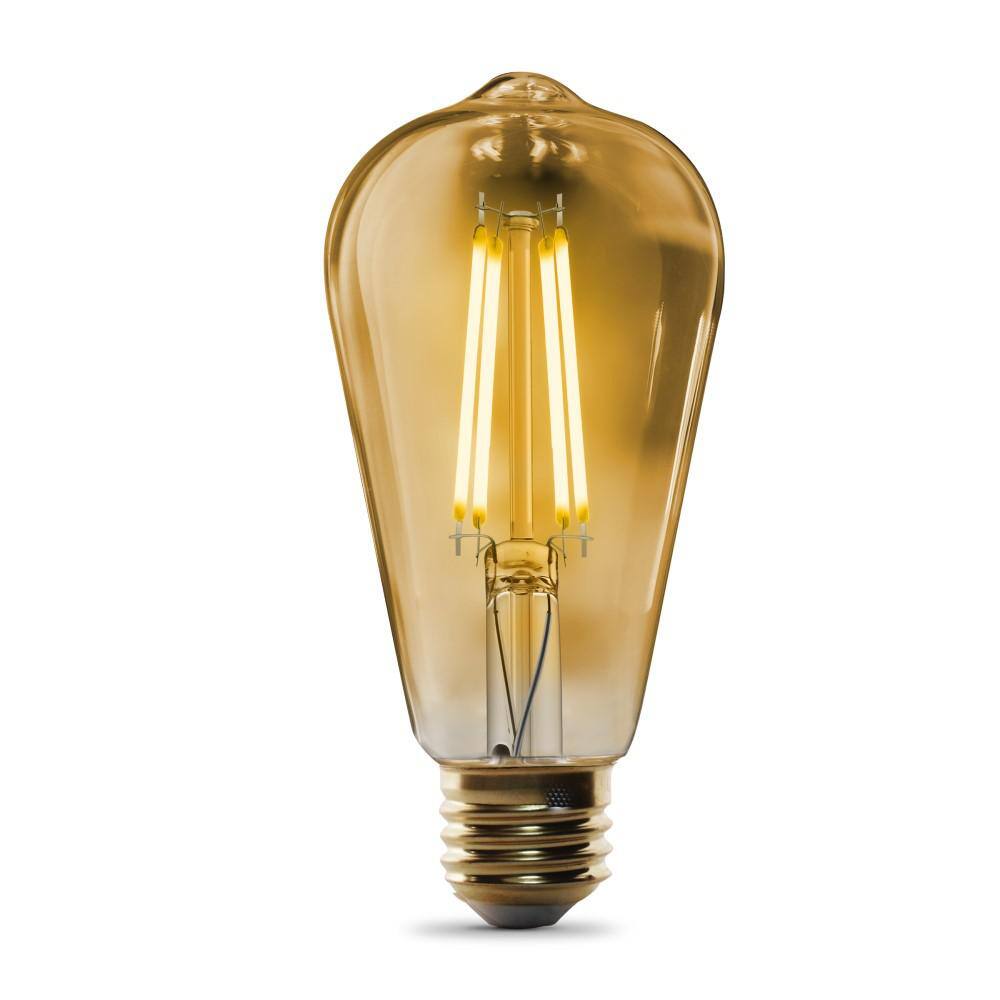 Feit Electric 60-Watt Equivalent ST19 Straight Filament Dusk to Dawn Amber Glass E26 Vintage Edison LED Light Bulb Warm White ST19VGDDFILEDHDRP