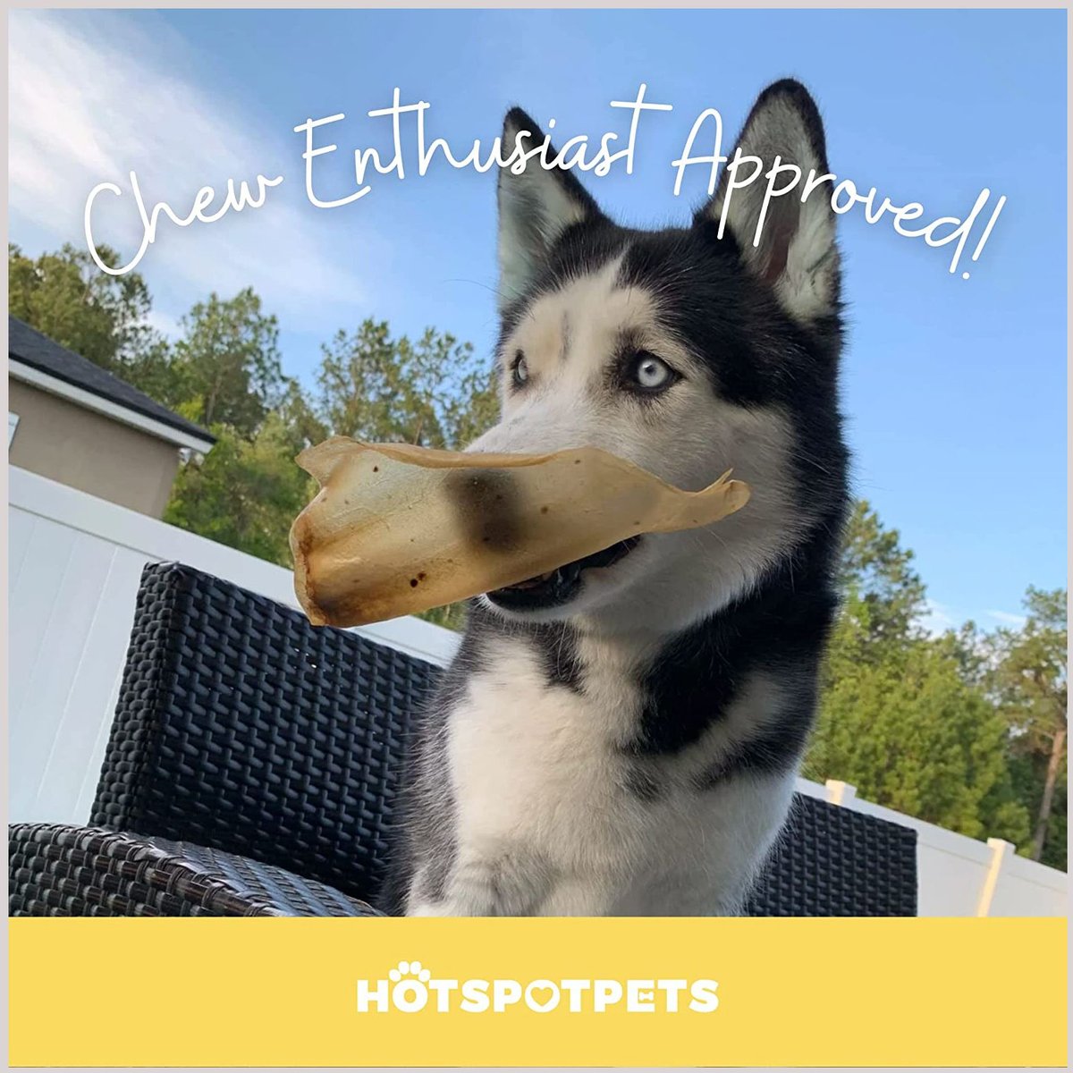 HOTSPOT PETS Cow Ears Dog Chew Treats