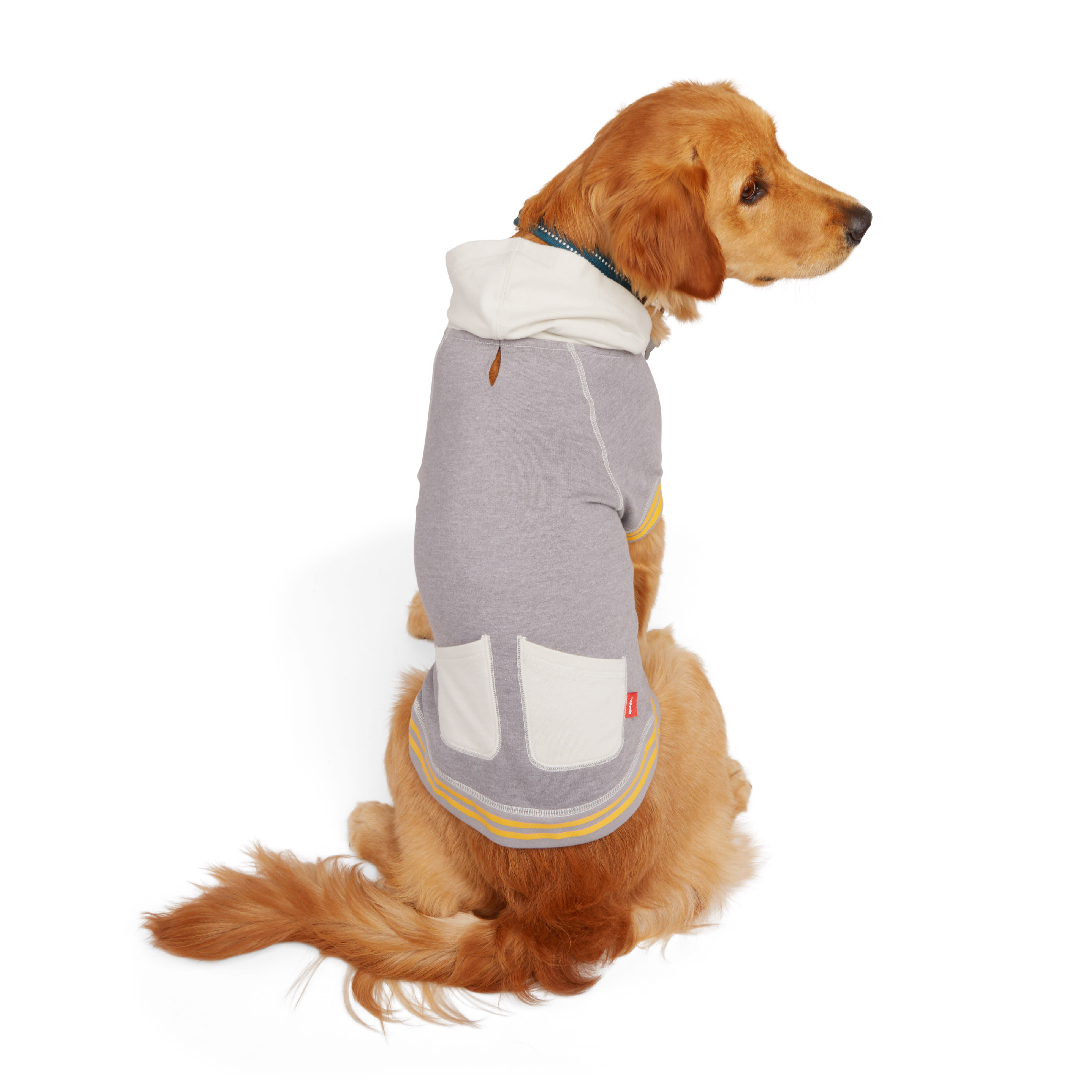 Reddy Grey Varsity Dog Hoodie， 3X-Large