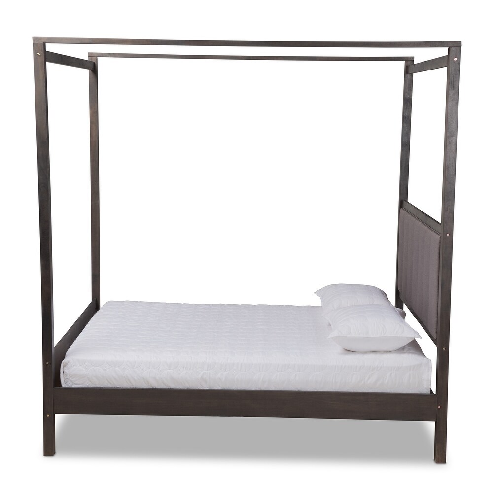 Natasha Modern and Contemporary Platform Canopy Bed