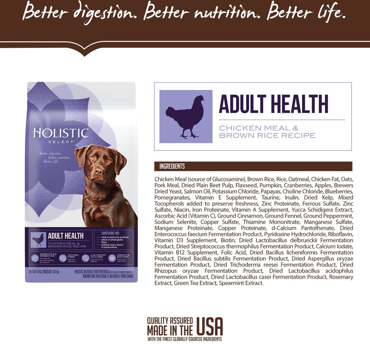 Holistic Select Adult Health Chicken Meal and Brown Rice Recipe Dry Dog Food