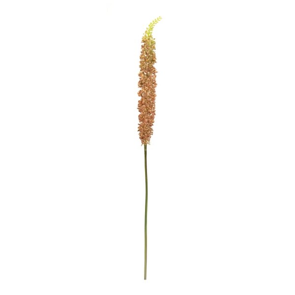 Orange Eremurus Floral Stem (Set of 2)