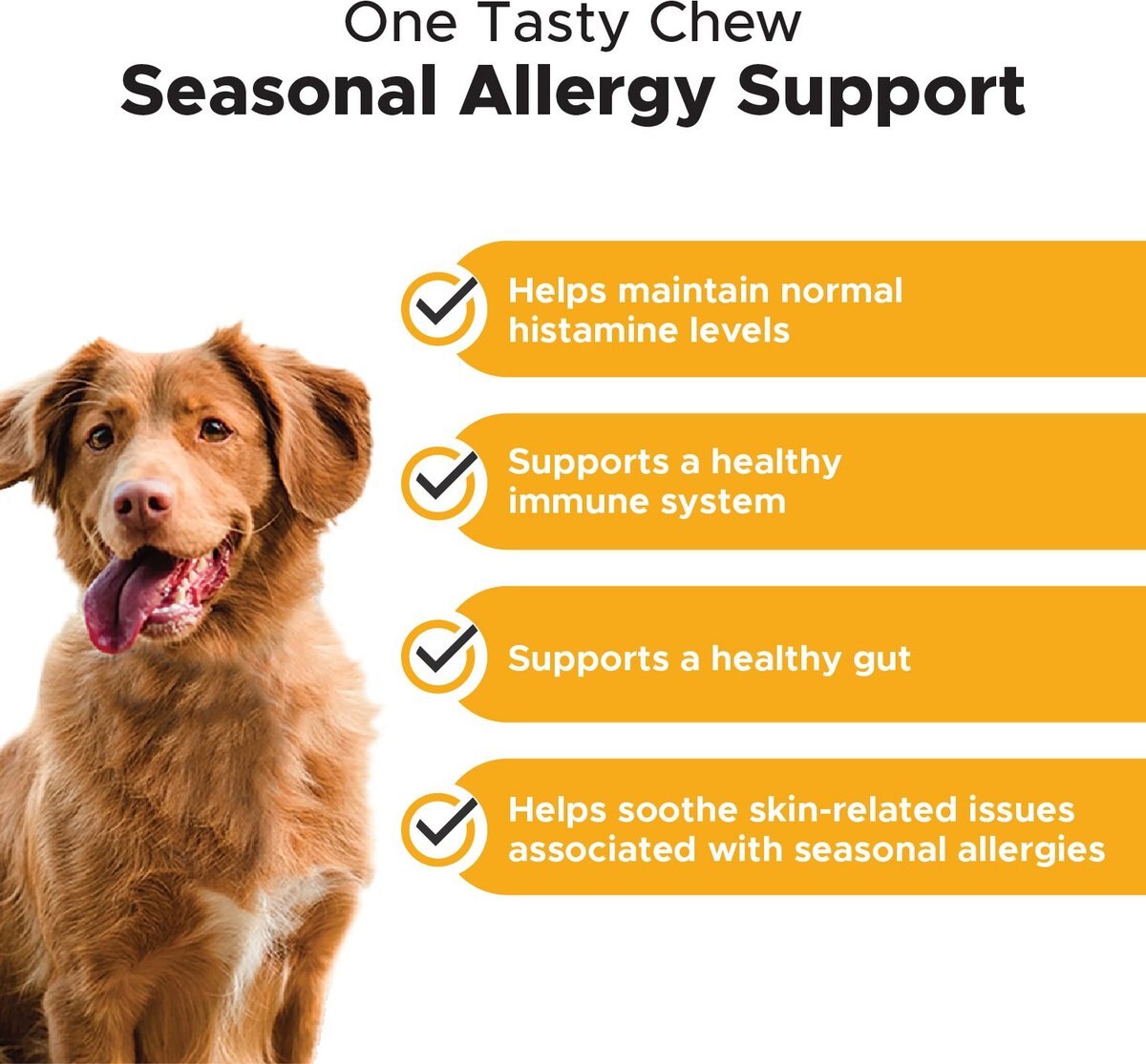 PetHonesty Allergy Support Salmon Flavored Soft Chews Allergy Supplement for Dogs