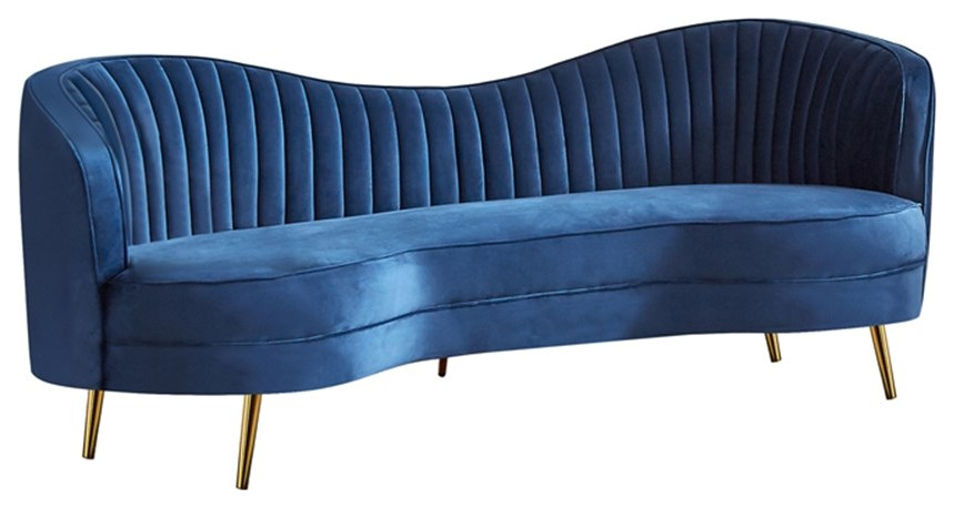 Coaster Sophia 2 Piece Contemporary Velvet Camel Back Sofa Set in Blue   Midcentury   Living Room Furniture Sets   by Homesquare  Houzz