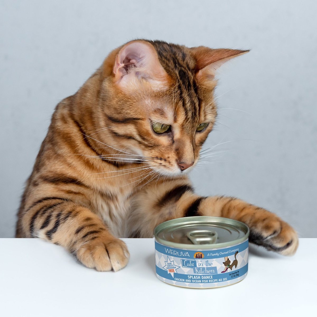 Weruva Cats in the Kitchen Splash Dance Chicken and Ocean Fish Au Jus Grain-Free Canned Cat Food