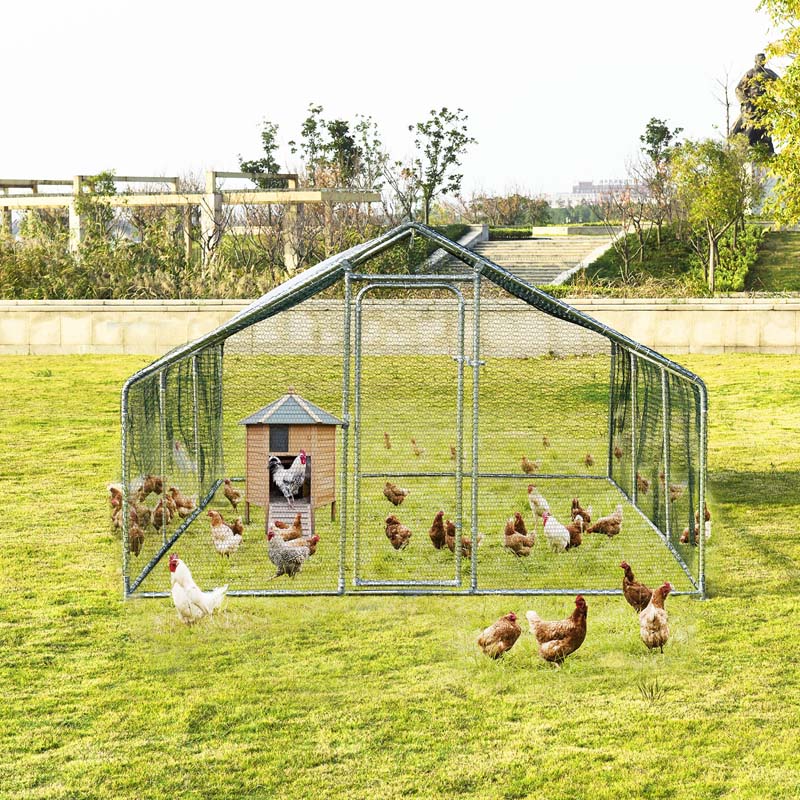 10' x 20' x 6.5' Galvanized Metal Large Walk-in Chicken Coop Cage Runs Hen House with Cover & Lockable Door