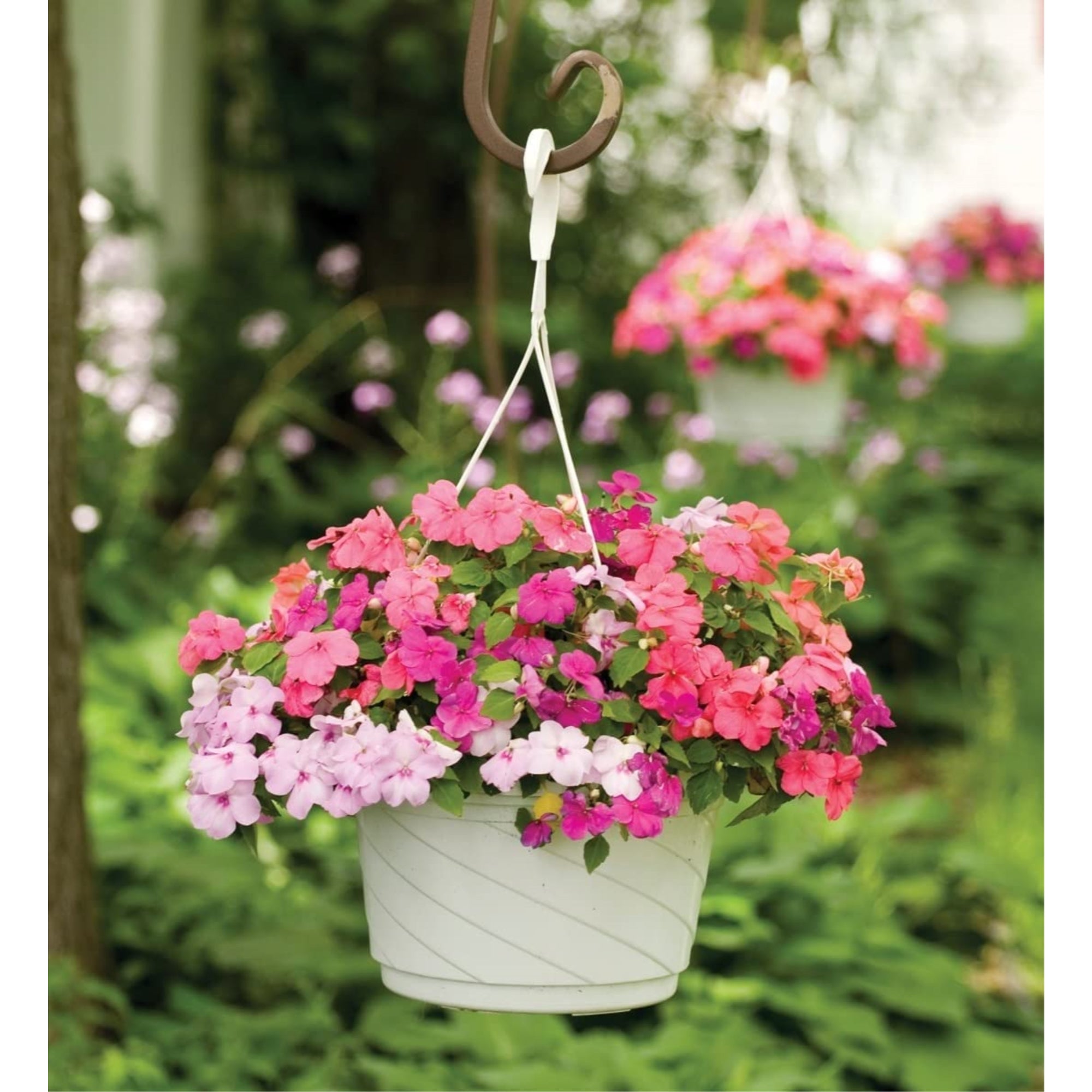 The HC Companies HSI10008A10 Euro Swirl Hanging Basket, White, 10-Inch