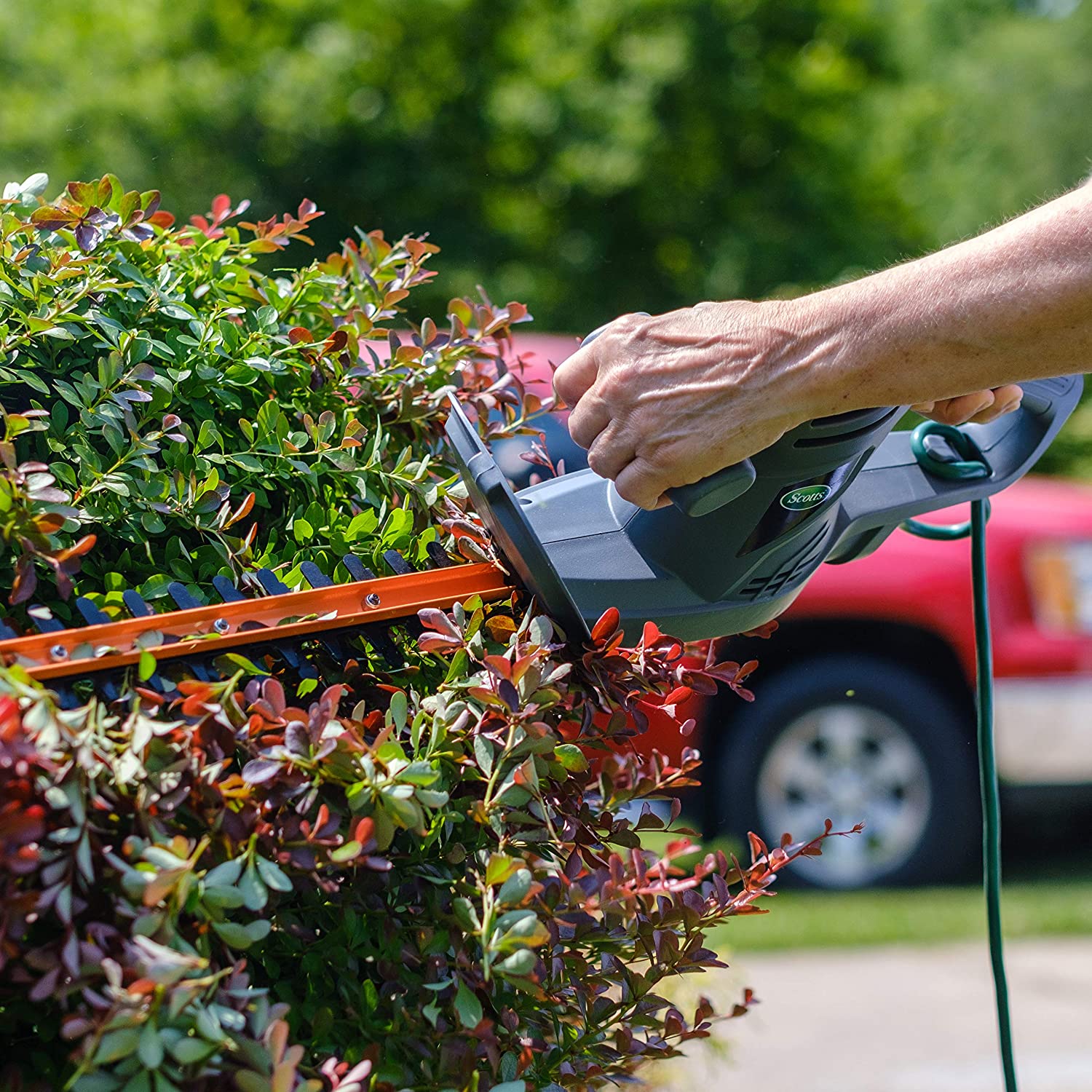 Hedge Trimmer #1