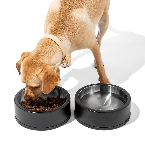 Wild One Pet Food Bowl