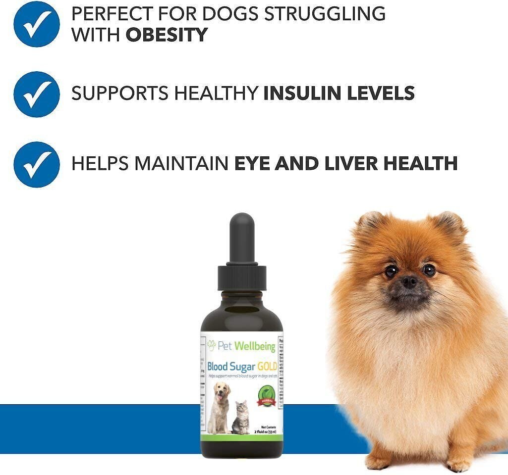 Pet Wellbeing Blood Sugar GOLD Bacon Flavored Liquid Diabetes Supplement for Dogs and Cats