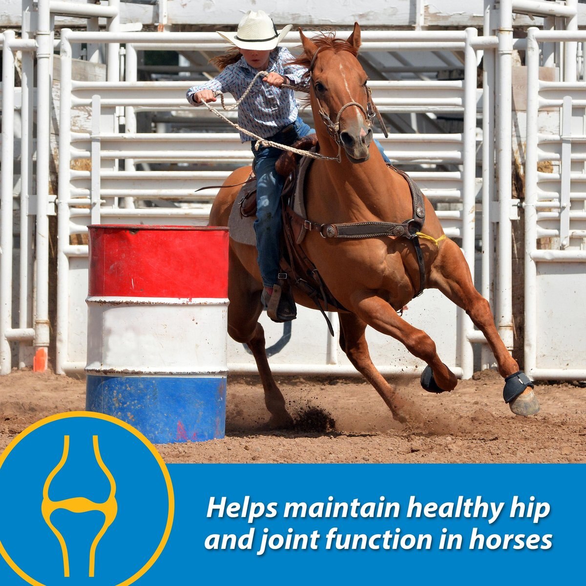 Farnam FluidFlex Joint Solution Liquid Horse Supplement