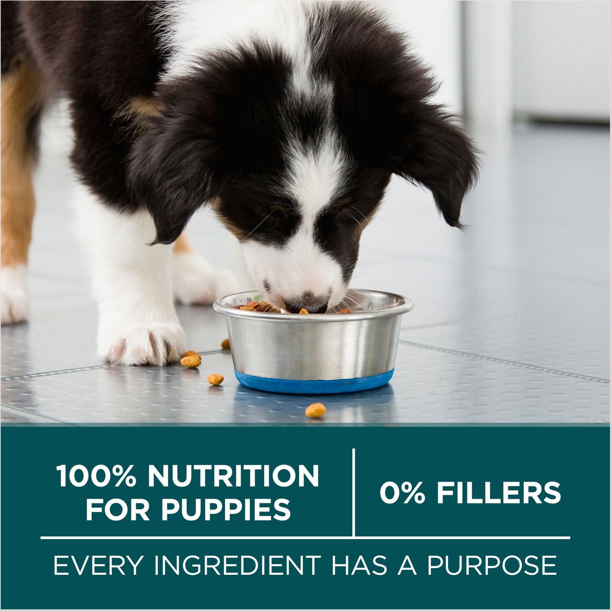 Purina ONE +Plus Natural Large Breed Formula Dry Puppy Food