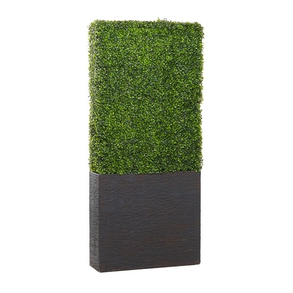 Exclusive and Utmost Beautiful Boxwood Hedge