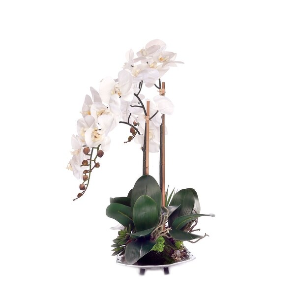 Real Touch Phalaenopsis Orchids on Sliver Decor Tray