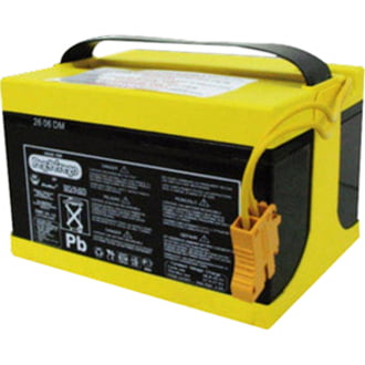 Peg Perego 24 Volt Rechargeable Battery