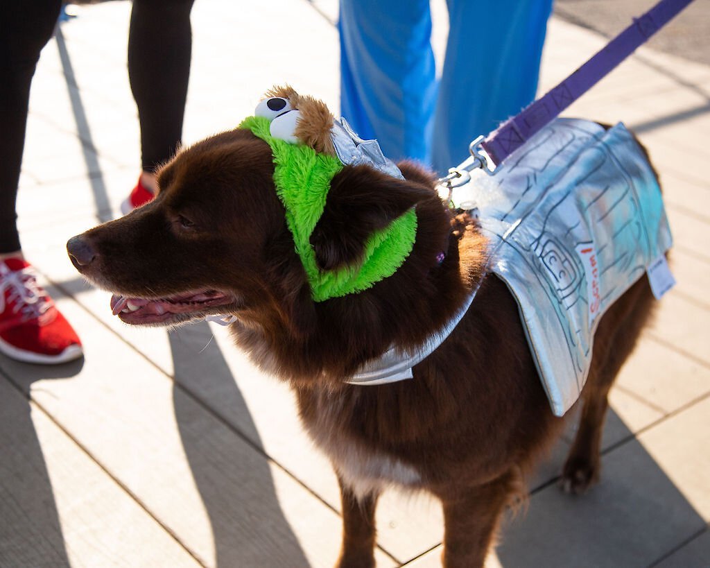 Pet Krewe Sesame Street Oscar The Grouch Dog and Cat Costume