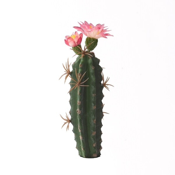 5.5inch Finger Cactus with Pink Bloom